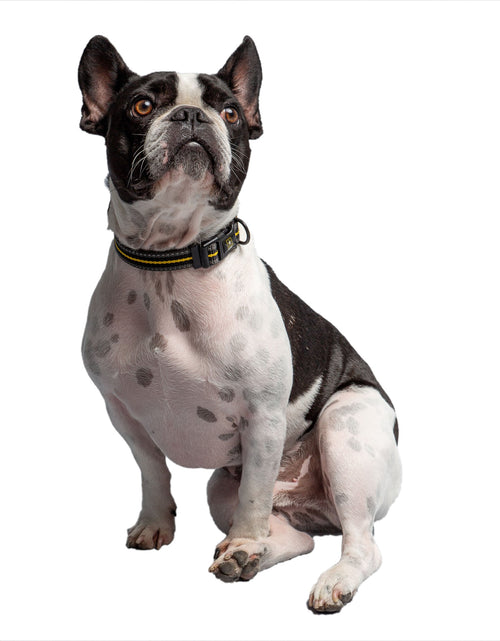 Load image into Gallery viewer, US Army Dog Collar - Dark Camo
