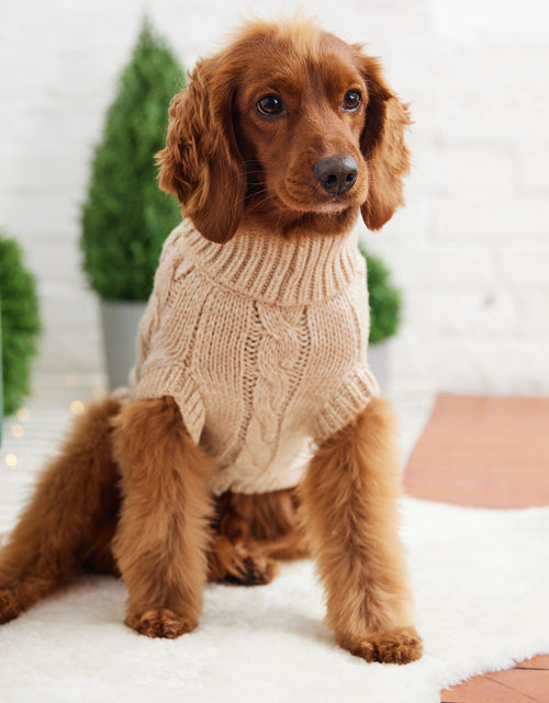 Load image into Gallery viewer, Chalet Dog Sweater - Oatmeal
