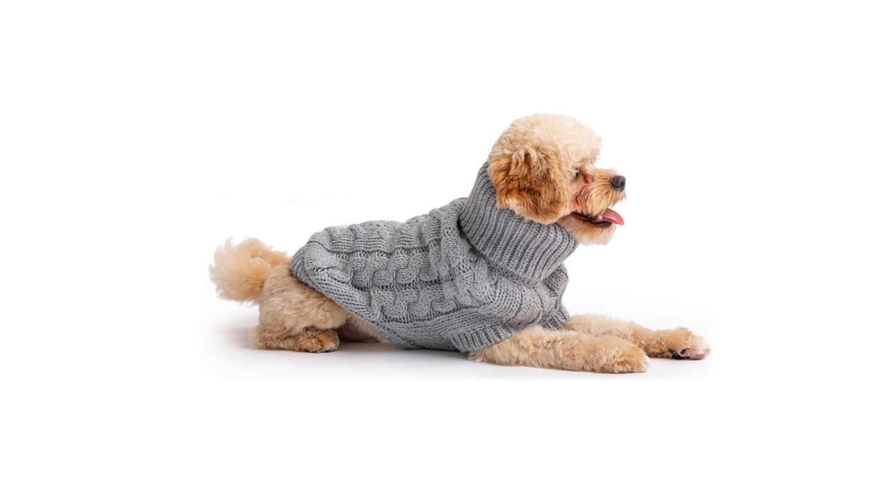 Chalet Dog Sweater - Grey