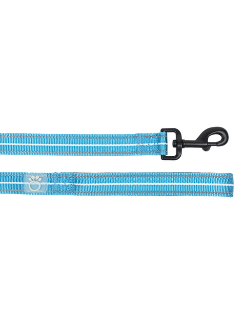 Load image into Gallery viewer, Reflective Leash - Neon Blue
