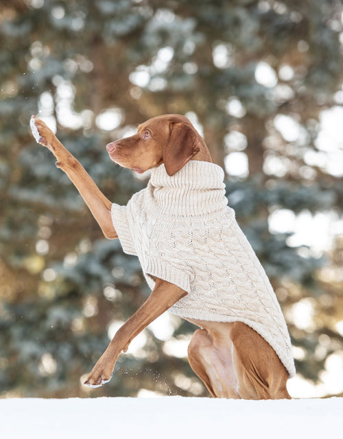Load image into Gallery viewer, Chalet Dog Sweater - Oatmeal
