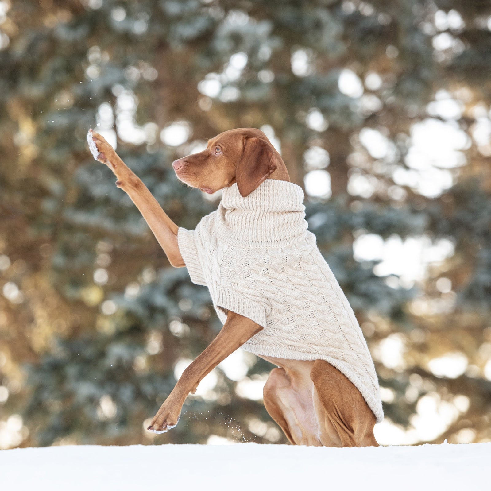 Chalet Dog Sweater - Oatmeal