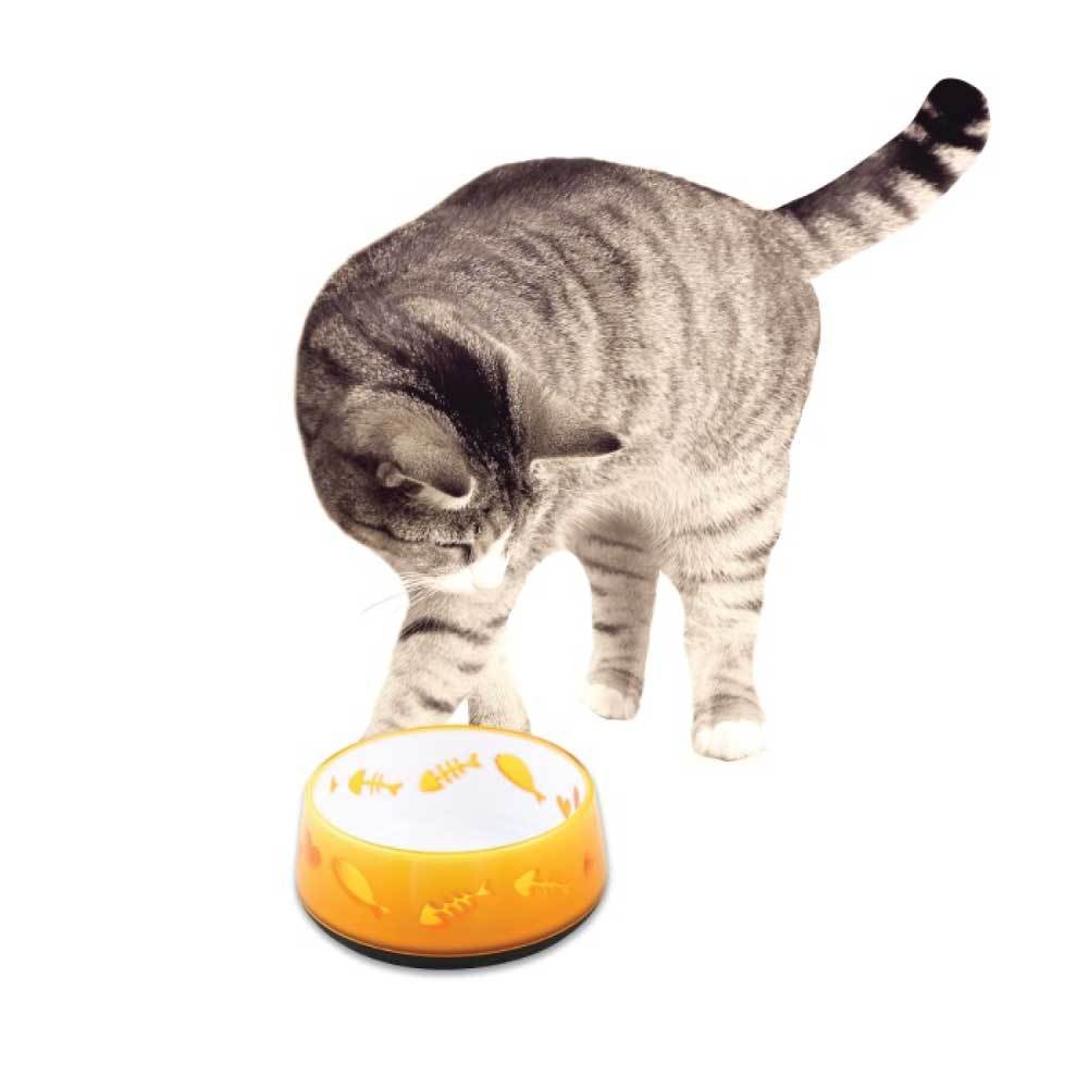 300ml Cat Bowl Orange Love - AFP Kitten Pet Food Water Feeding Anti