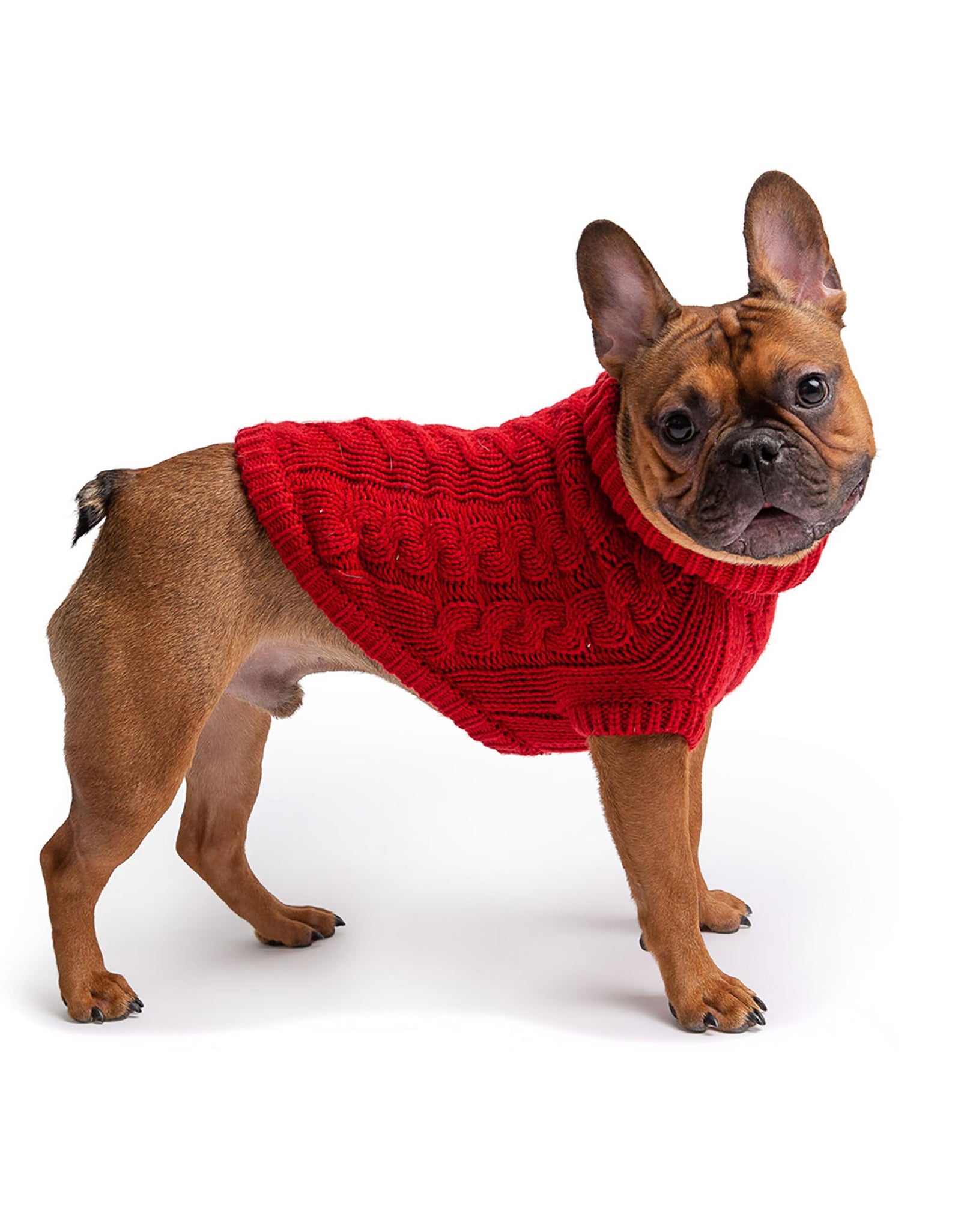 Chalet Dog Sweater - Red