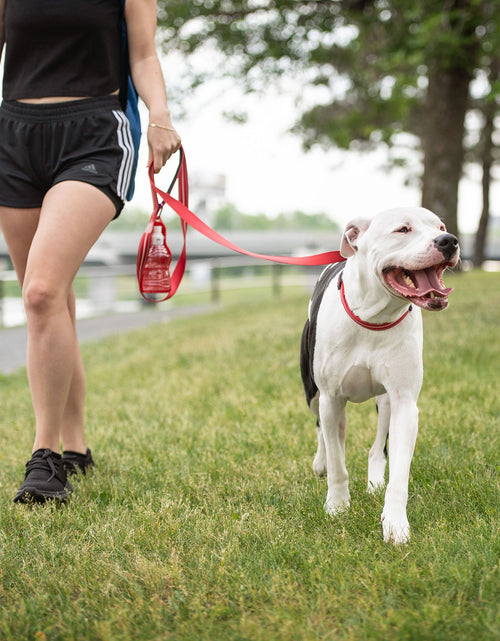 Load image into Gallery viewer, Reflective Leash - Red
