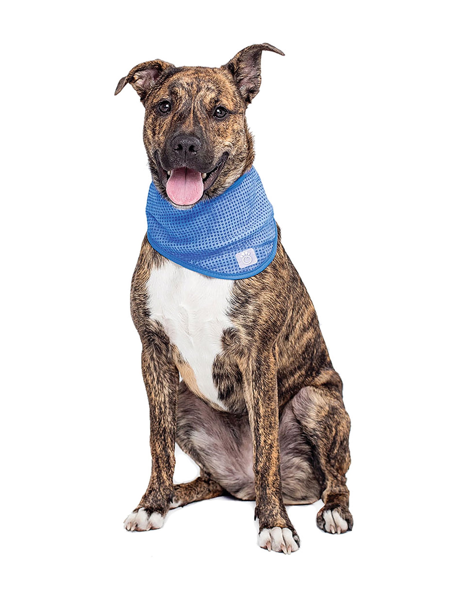 ICE BAND - Dog Cooling Bandana