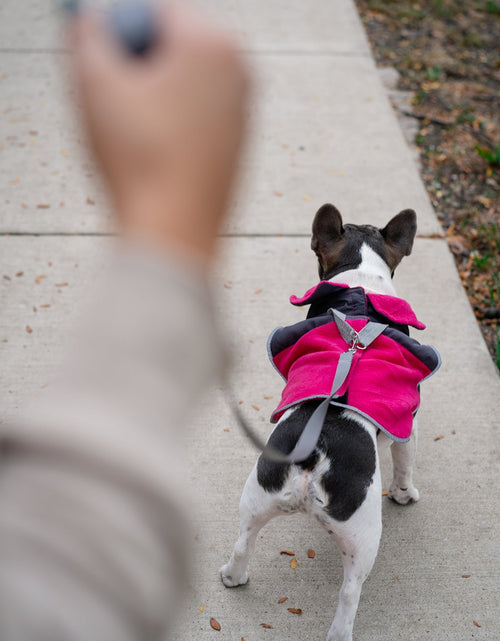 Load image into Gallery viewer, 2-in-1 Travel Dog Vest With Built In Harness - Fuschia
