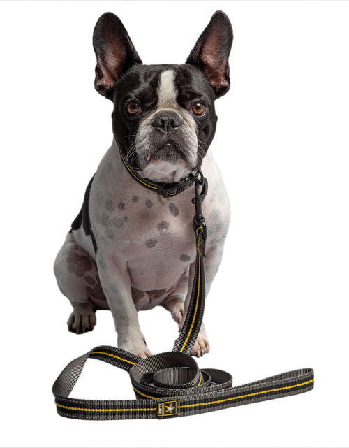 Load image into Gallery viewer, US Army Dog Leash - Dark Camo
