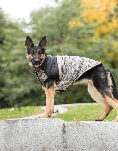 Load image into Gallery viewer, US Army Dog Jacket - Camo
