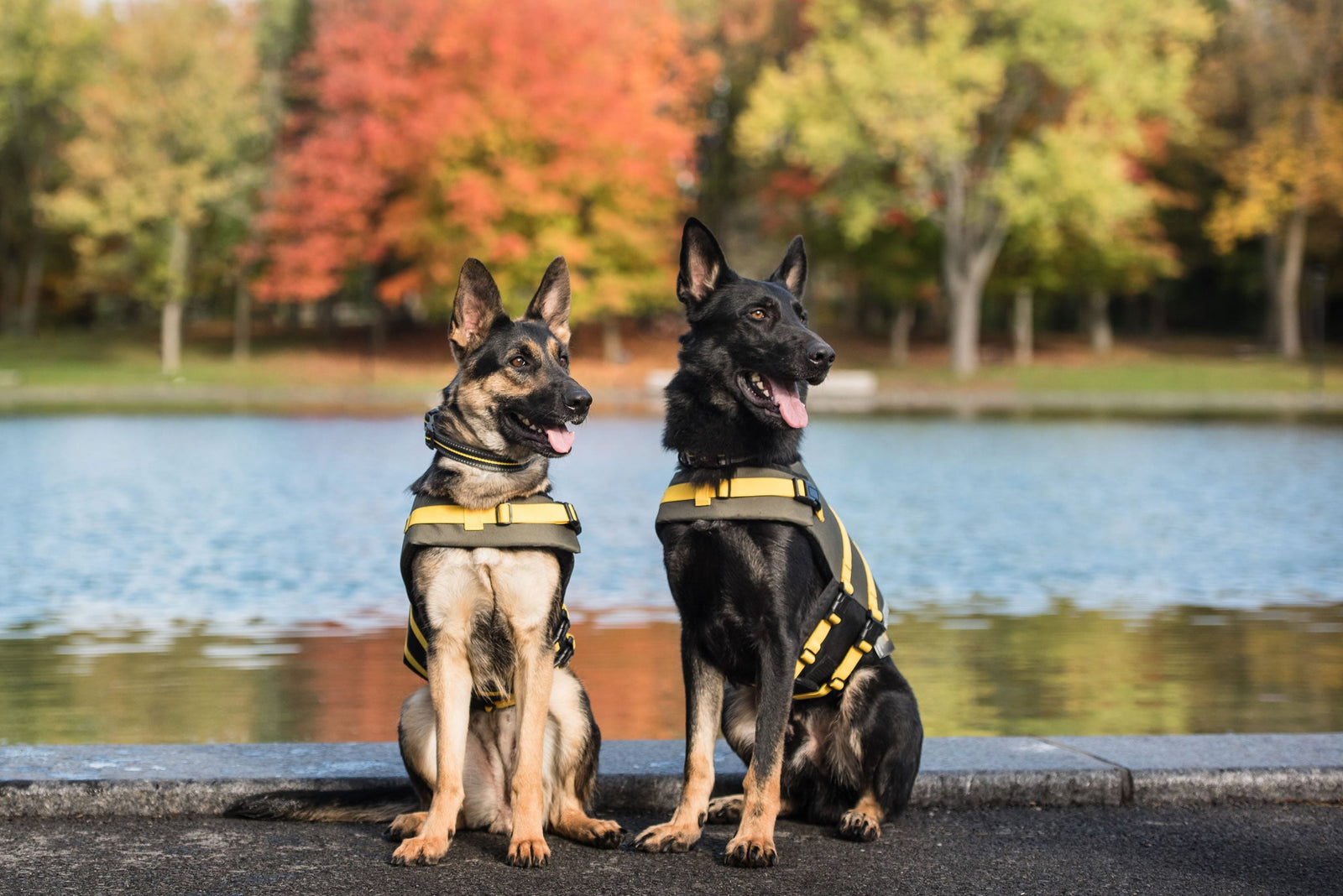 US Army Dog Life Vest - Dark Camo