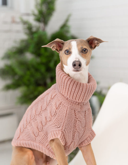 Load image into Gallery viewer, Chalet Dog Sweater - Pink
