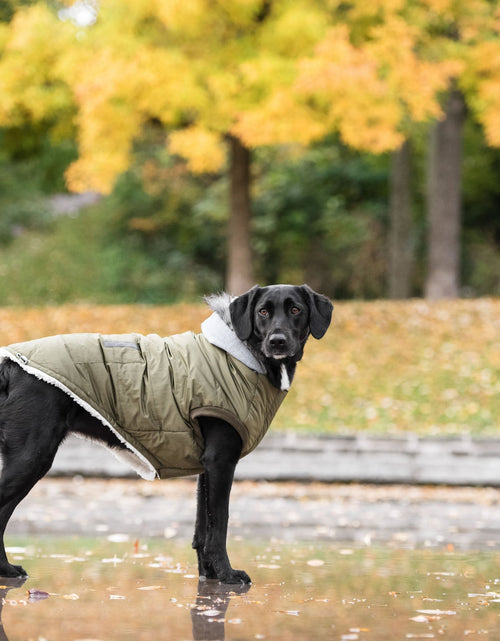 Load image into Gallery viewer, Brave Bark Thermal Parka - Khaki
