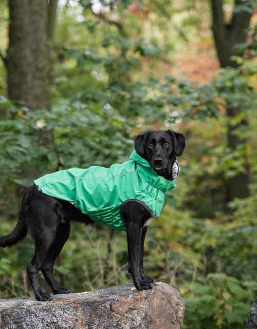 Load image into Gallery viewer, Reversible Elasto-Fit Raincoat - Green
