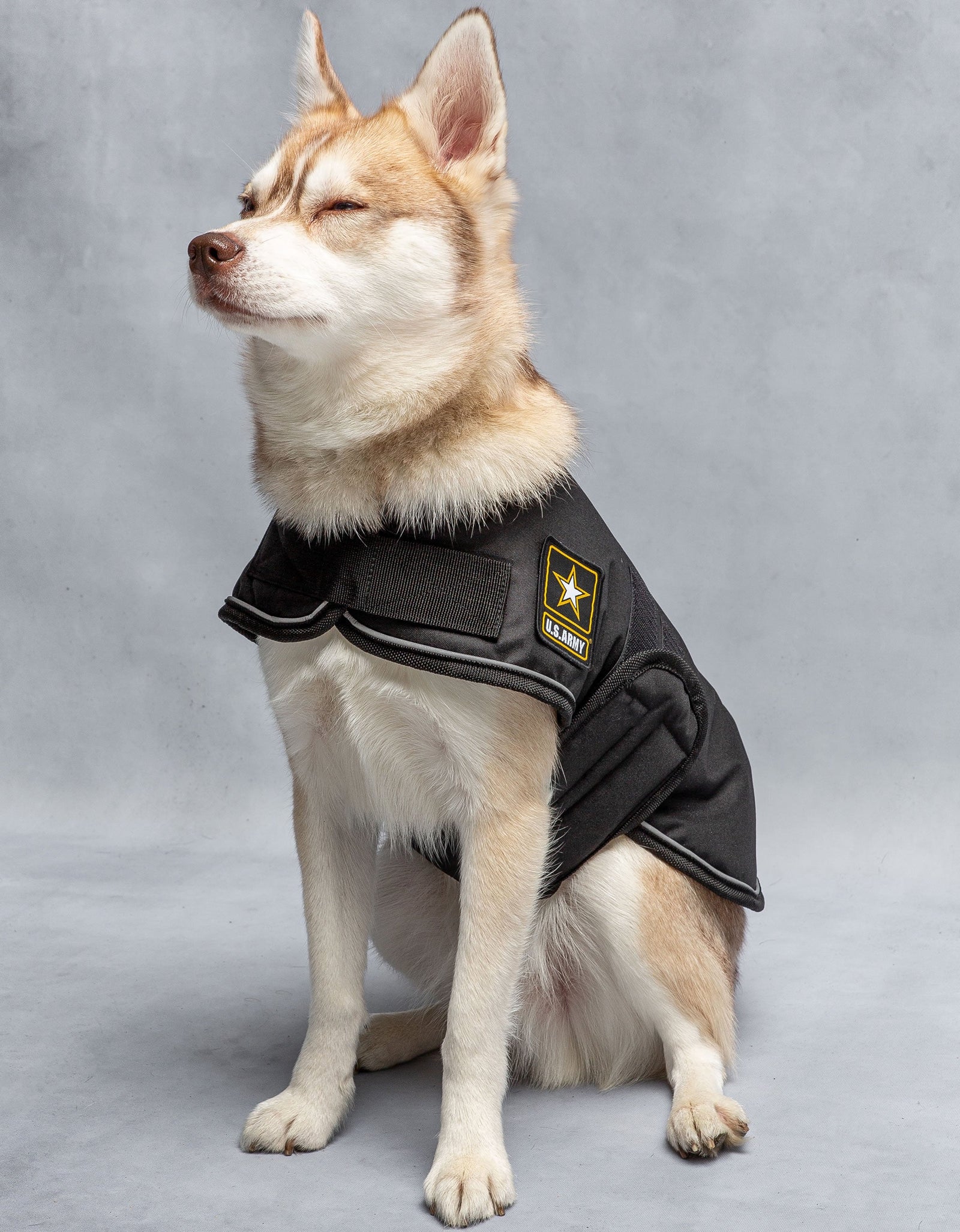 US Army Dog Blanket Jacket - Black