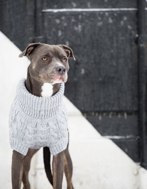 Load image into Gallery viewer, Chalet Dog Sweater - Grey
