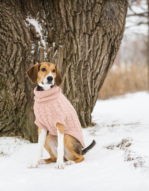 Load image into Gallery viewer, Chalet Dog Sweater - Pink
