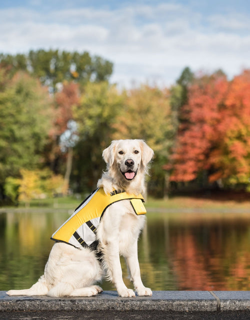 Load image into Gallery viewer, Life Vest - Dog Life Jacket
