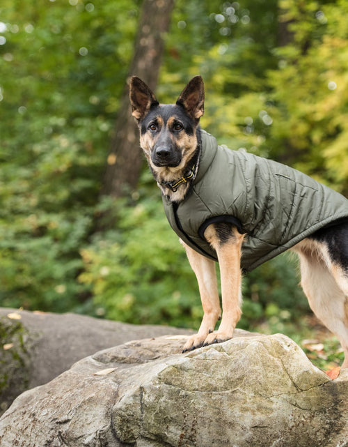 Load image into Gallery viewer, US Army Dog Parka - Dark Camo
