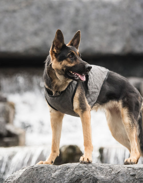 Load image into Gallery viewer, US Army Dog Cooling Vest - Grey
